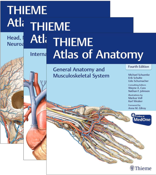 Cover of THIEME Atlas of Anatomy, Three Volume Set, Fourth Edition