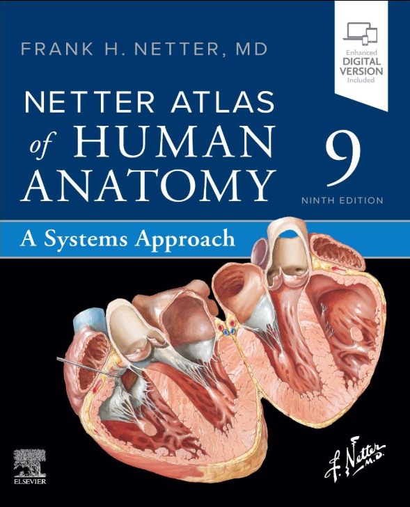 Cover of Netter Atlas of Human Anatomy: A Systems Approach