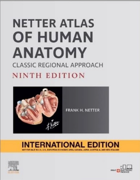 Cover of Netter Atlas of Human Anatomy: Classic Regional Approach, International Edition