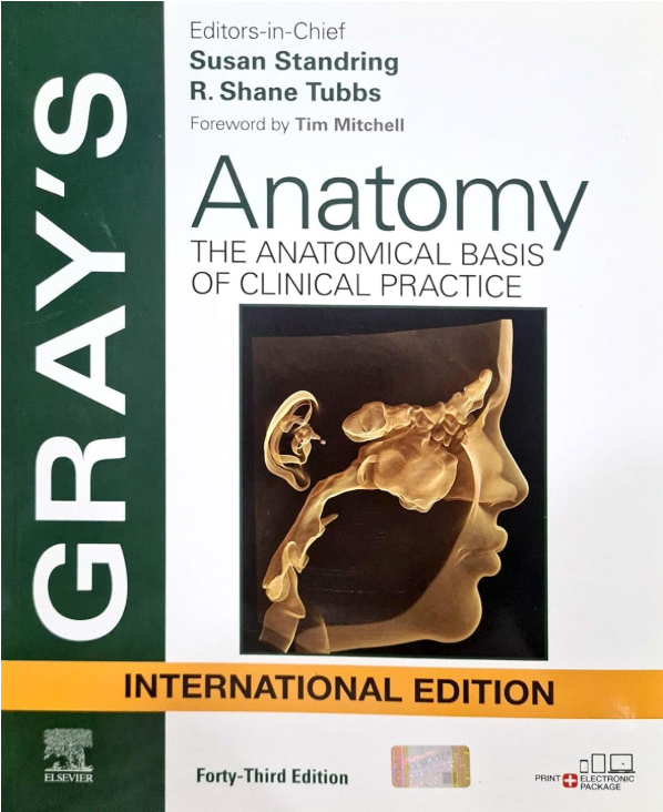 Cover of Gray's Anatomy: The Anatomical Basis of Clinical Practice, International Edition