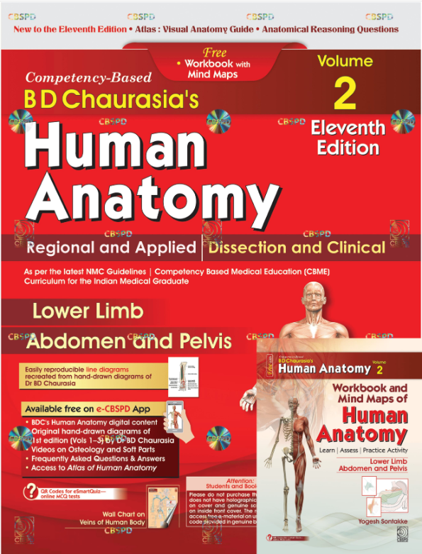 Cover of BD Chaurasia's Human Anatomy, Vol. 2: Regional and Applied Dissection and Clinical — Lower Limb, Abdomen and Pelvis (Competency-Based, with free Workbook & Mind Maps)